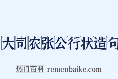 大司农张公行状造句是什么意思的图片